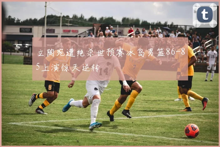 立陶宛遭绝杀世预赛冰岛男篮86-85上演惊天逆转