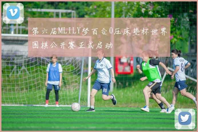 第六届MLILY梦百合0压床垫杯世界围棋公开赛正式启动